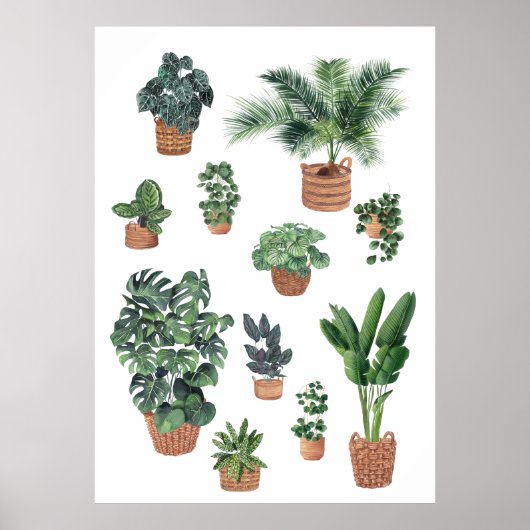 Huis Plant Collectie 4 Poster (Voorkant)