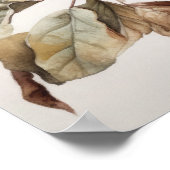 Huis Sparrow Bird Art Print Poster (Hoek)