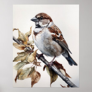 Huis Sparrow Bird Art Print Poster