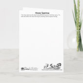 Huis Sparrow met bugs Dank u kaart (Achterkant)