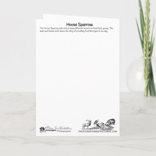 Huis Sparrow met bugs Dank u kaart (Achterkant)
