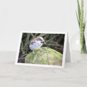 Huis Sparrow op Log Kaart (Voorkant)