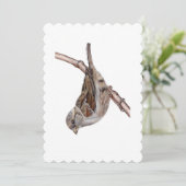 Huis Sparrow (Passer Domesticus) Kaart (Staand voorkant)