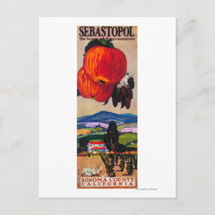 Huis van het Poster Gravenstein Briefkaart