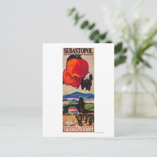 Huis van het Poster Gravenstein Briefkaart (Staand voorkant)