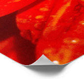 Huis van Oranje dahlia Poster (Hoek)