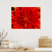 Huis van Oranje dahlia Poster (Keuken)