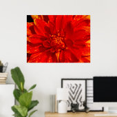 Huis van Oranje dahlia Poster (Thuiskantoor)