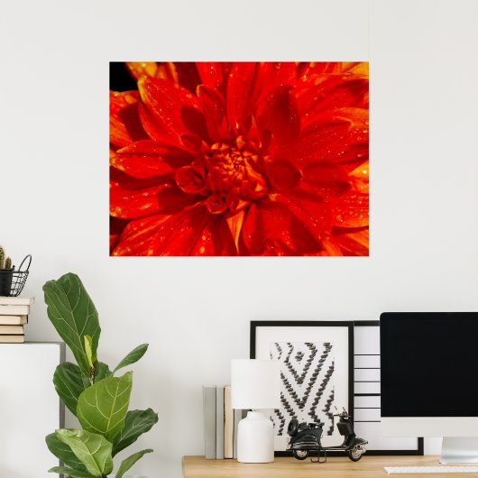 Huis van Oranje dahlia Poster (Thuiskantoor)