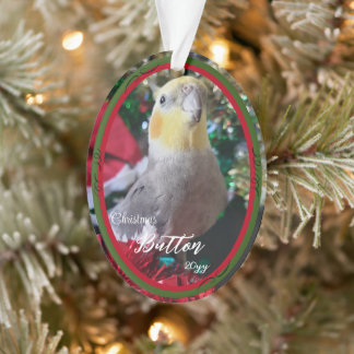 Huisdier Acryl Kerst Ornament Bird Aanpasbaar