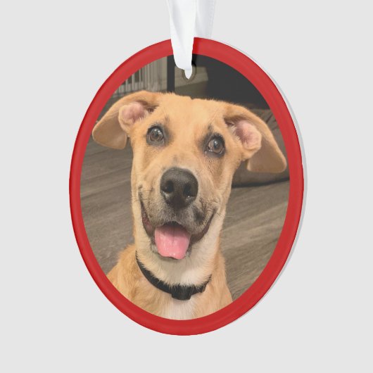 Huisdier Adoptie | Aangepaste Foto Ornament (voorkant)