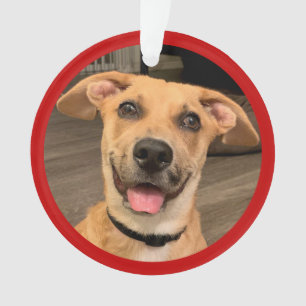 Huisdier Adoptie   Aangepaste Foto Ornament