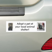 Huisdier Adoptie Bumpersticker (Op auto)