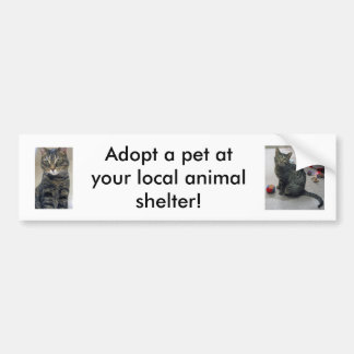 Huisdier Adoptie Bumpersticker