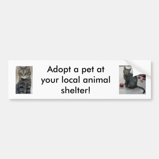 Huisdier Adoptie Bumpersticker (Voorkant)