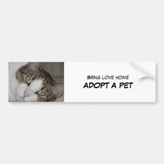 Huisdier Adoptie Bumpersticker II (Voorkant)