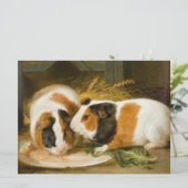 Huisdier cavia's voederen kaart (Staand voorkant)