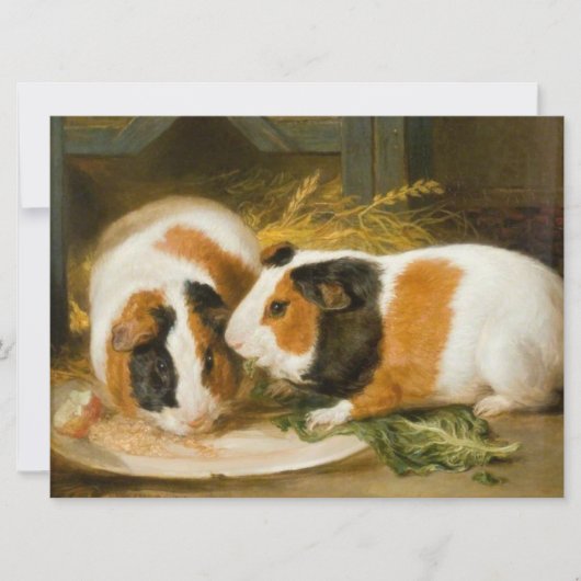 Huisdier cavia's voederen kaart (Voorkant)