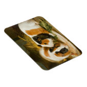 Huisdier cavia's voederen magneet (Rechterzijde)