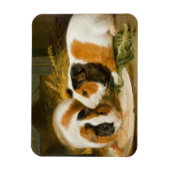 Huisdier cavia's voederen magneet (Verticaal)