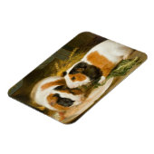 Huisdier cavia's voederen magneet (Linkerzijde)