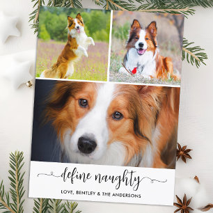 Huisdier Definiëren Stoute Hond Foto Collage Kerst Feestdagenkaart