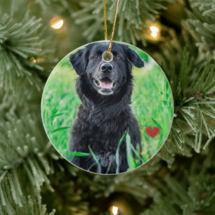 Huisdier Eerste Kerstfoto Naam Keramisch Ornament