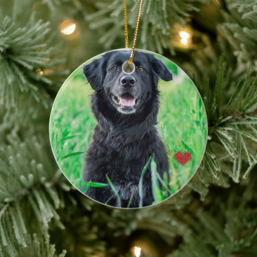 Huisdier Eerste Kerstfoto Naam Keramisch Ornament (Boom)