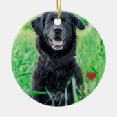 Huisdier Eerste Kerstfoto Naam Keramisch Ornament (Voorkant)