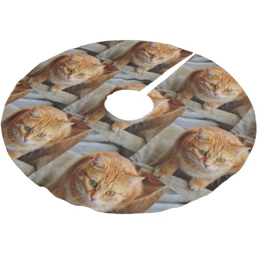 Huisdier Familie Foto Aanpassen Kerstvakantie Kerstboom Rok (Gekanteld)