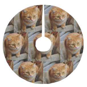 Huisdier Familie Foto Aanpassen Kerstvakantie Kerstboom Rok