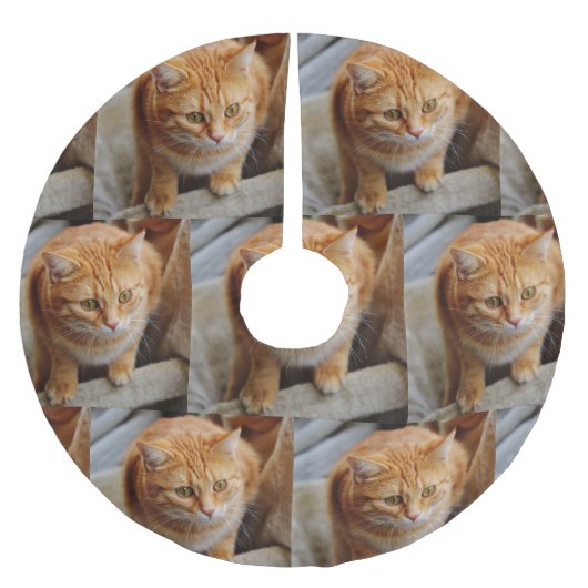 Huisdier Familie Foto Aanpassen Kerstvakantie Kerstboom Rok (Voorkant)