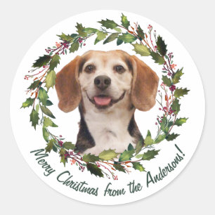 Huisdier Foto Familienaam Prettig Kerstfeest Groen Ronde Sticker
