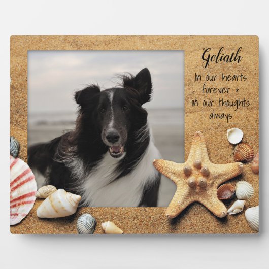 Huisdier Foto Herinnering Staande Strand Schelpen Fotoplaat (Voorkant)