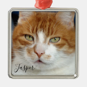 Huisdier Foto Naam Kerstmis Metalen Ornament