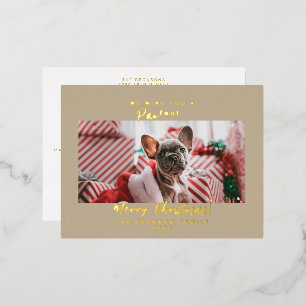 Huisdier Foto Prettig Kerstmis Folie Vakantie Ansi Feestdagen Briefkaart