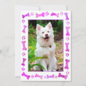 Huisdier Foto Roze Pootafdrukken Hond Verjaardag Kaart (Voorkant)