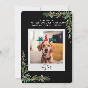 Huisdier Foto Script Grappige Hond Kerstmis Feestdagenkaart
