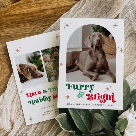 Huisdier Foto Vakantie Kaart Hond Kerst Puppy Furr