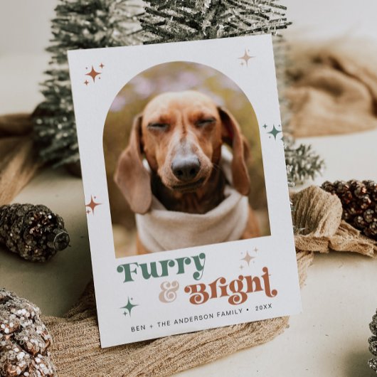 Huisdier Foto Vakantie Kaart Hond Kerst Puppy Furr