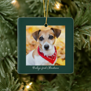 Huisdier foto Voornaam Kerstmis Keramisch Ornament