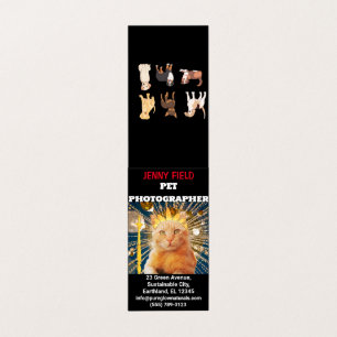 Huisdier Fotograaf Dierenfoto Gevouwen Visitekaart Visitekaartje