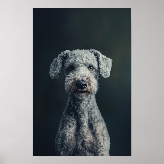 Huisdier Grooming Salon Bedlington Terrier Portret Poster (Voorkant)