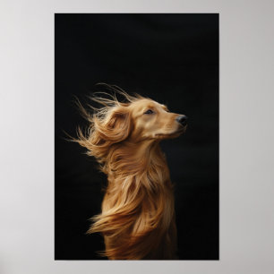 Huisdier Grooming Salon Boutique Afgan Hound Portr Poster