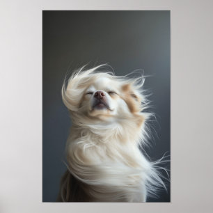 Huisdier Grooming Salon Boutique Chihuahua Portret Poster