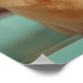 Huisdier Grooming Salon Boutique Labrador Portret Poster (Hoek)