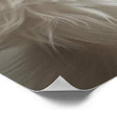 Huisdier Grooming Salon Boutique Spitz Portret Poster (Hoek)