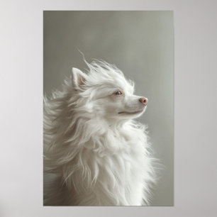 Huisdier Grooming Salon Boutique Spitz Portret Poster