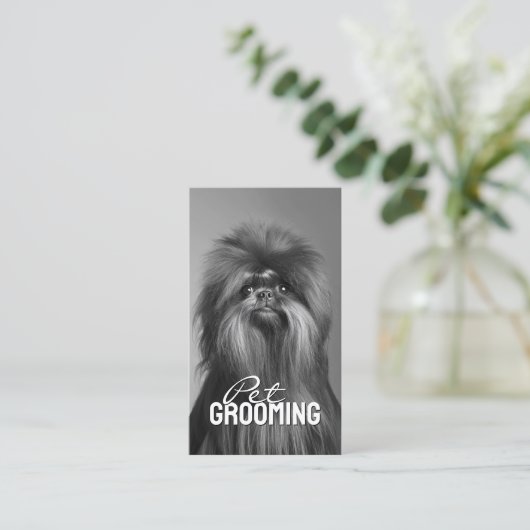 Huisdier Grooming Salon Care Affenpinscher Portret Visitekaartje (Staand voorkant)