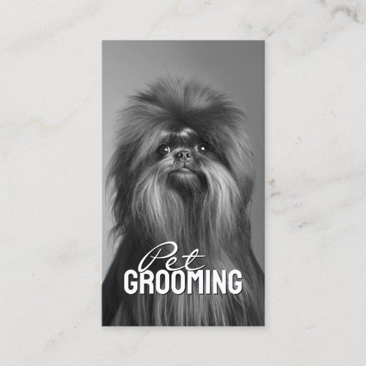 Huisdier Grooming Salon Care Affenpinscher Portret Visitekaartje (Voorkant)